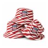 USMNT 2026 Stripe Bucket Hat 1