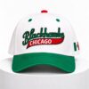 Blackhawks Mexican Heritage 2026 Hat 1