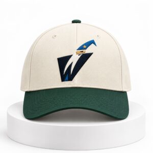 Washington Wizards Rebrand 2026 Hat 2